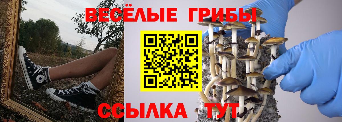 Галлюциногенные грибы GOLDEN TEACHER Сунжа