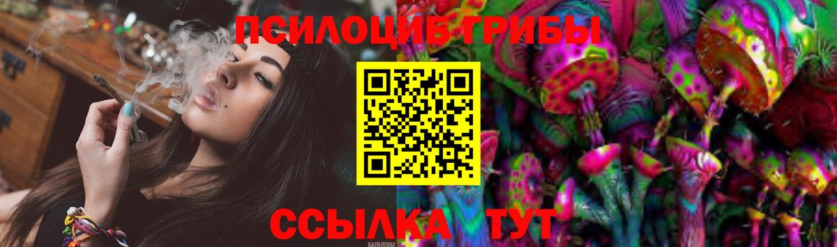 Сунжа  Псилоцибиновые грибы GOLDEN TEACHER  Вход с VPN  Галлюциногенные грибы ЛСД 